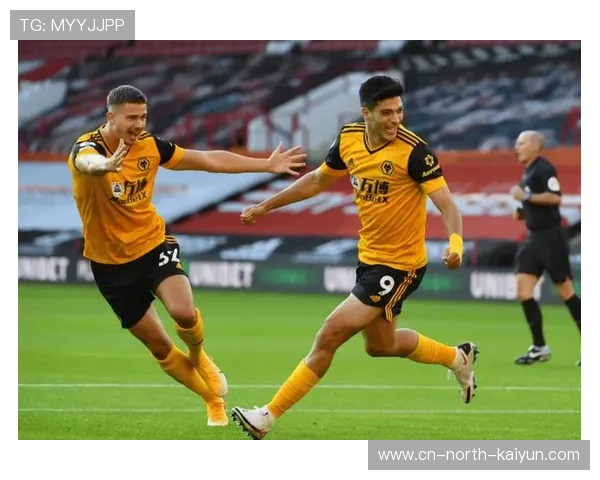 1月18日英超 狼队VS纽卡斯尔：保级与冲欧的关键战役